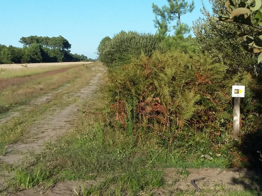 Et Nature Sanguinet